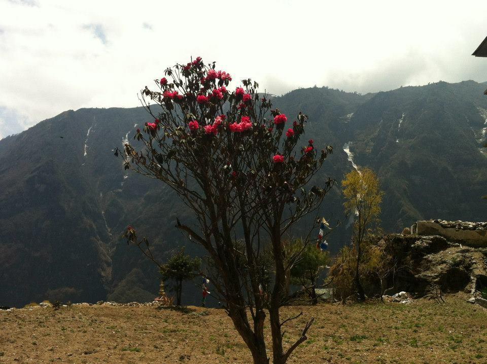 Hotel Namche Nāmche Bāzār Exterior foto
